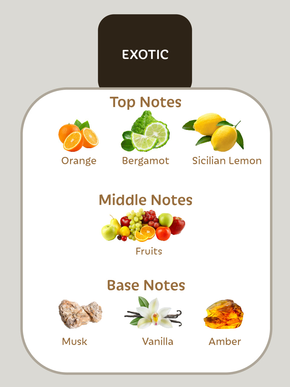 Exotic Misk perfumes notes orange bergamot lemon fruits musk vanilla amber
